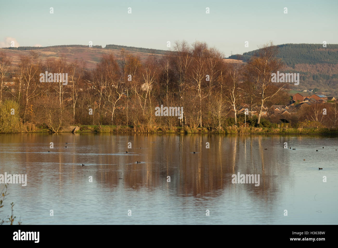 Dare Valley Country Park Stock Photo