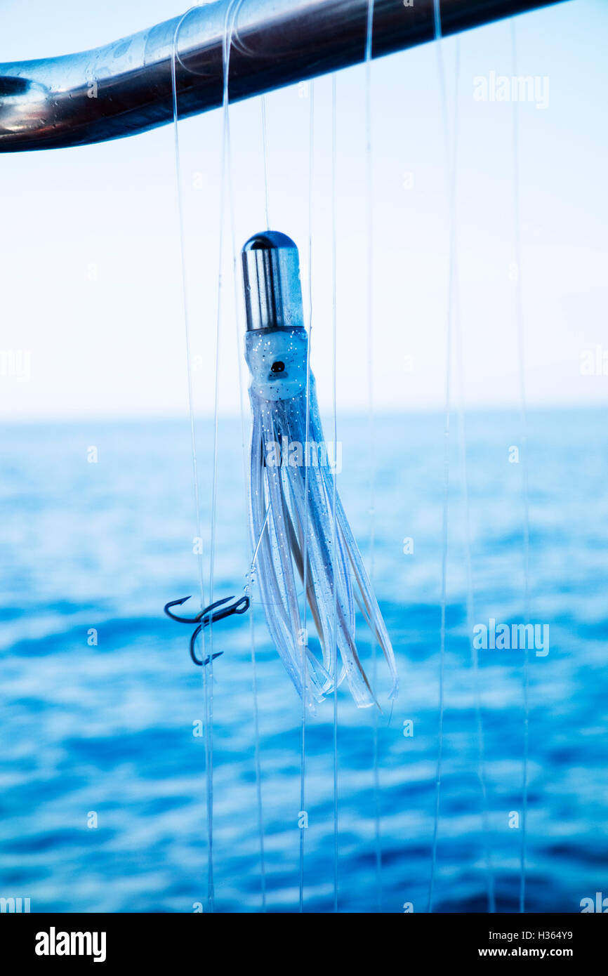 Bait for deepsea fishing Stock Photo Alamy