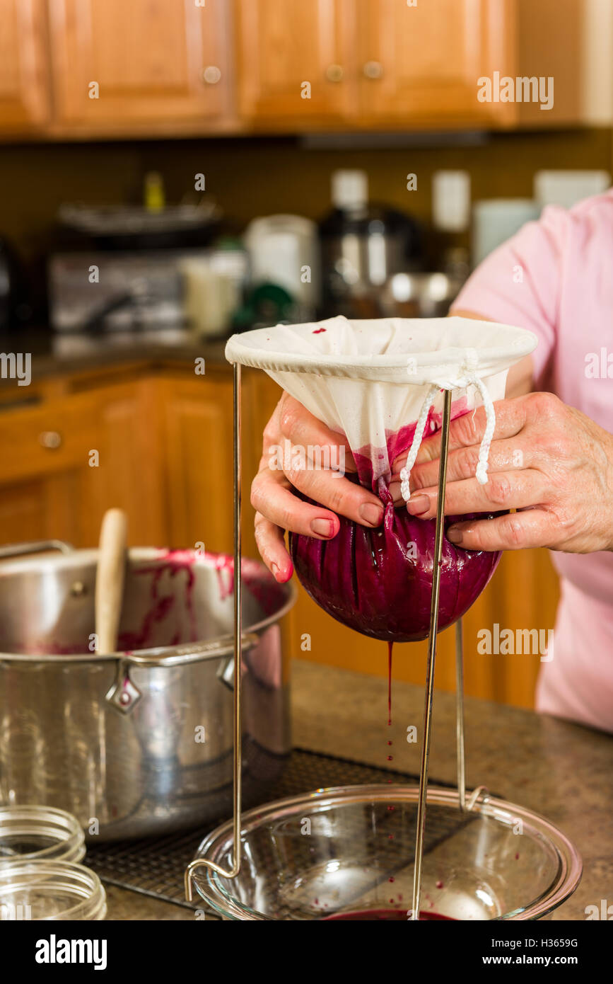 Pulp Extract Pulp being pressed thru a bag to separate the skins and seeds from the ...