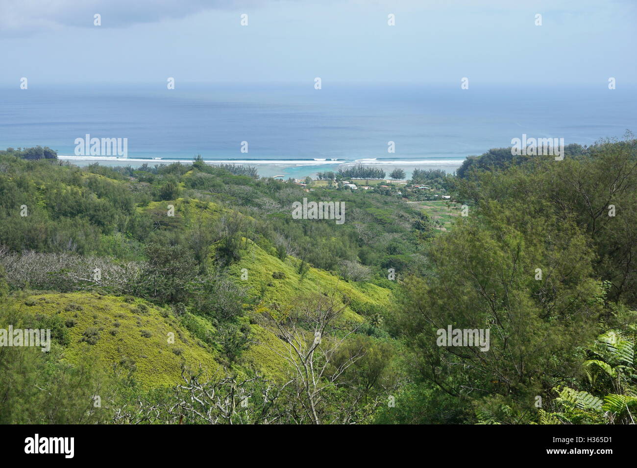 Coastal landscape, vegetation on the heights of the island of Rurutu with the village of Avera in background, French Polynesia Stock Photo