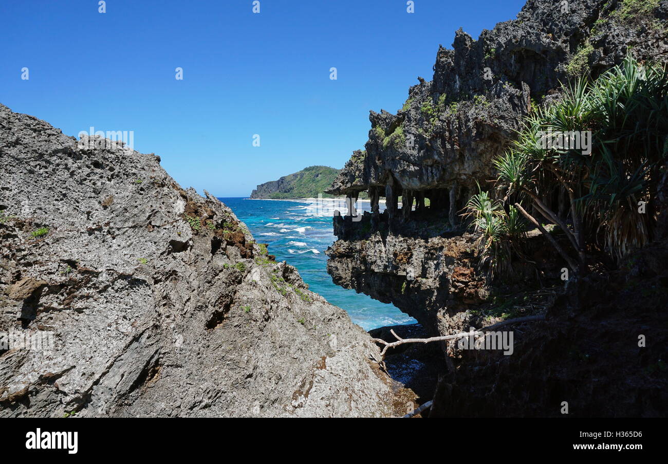 Eroded coastal cliff that looks like monster jaws on the shore of Rurutu island, Pacific ocean, Austral, French Polynesia Stock Photo