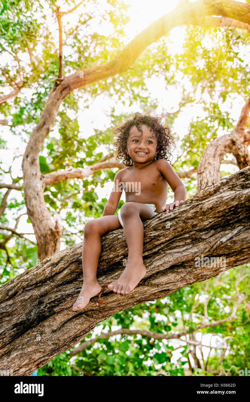 Three years old child sitting on a tree brunch in the jungle forest having fun outdoors Stock Photo
