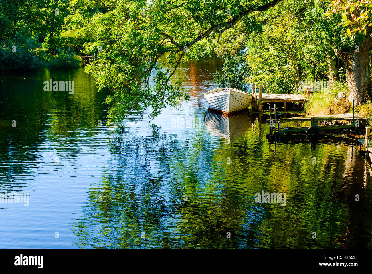 Wooden rowboat moored riverside under a large tree branch. The river Morrumsan in Sweden. Copy space under branch and boat. Stock Photo