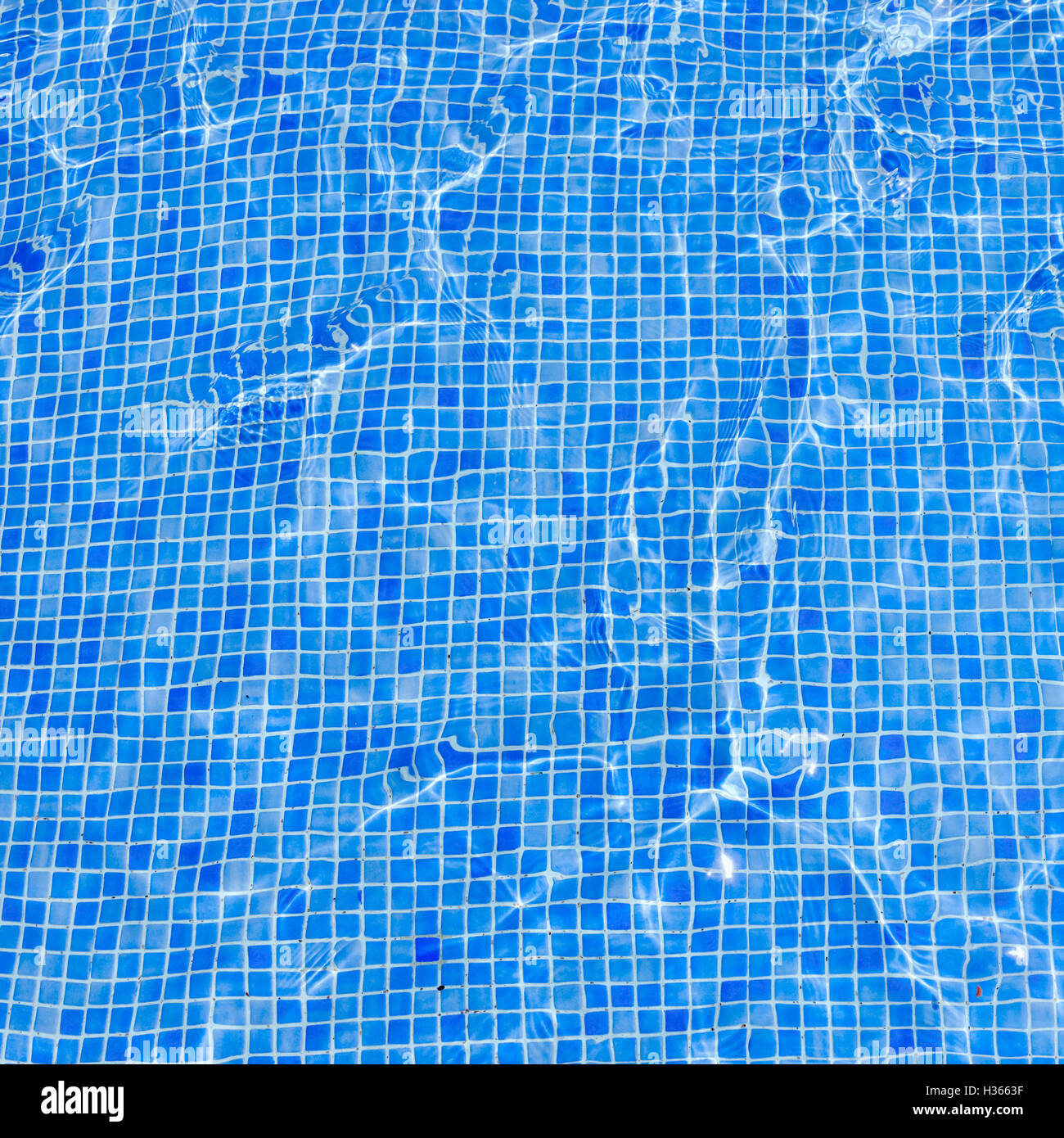 Square background swimming pool floor water covered blue tiles Stock Photo