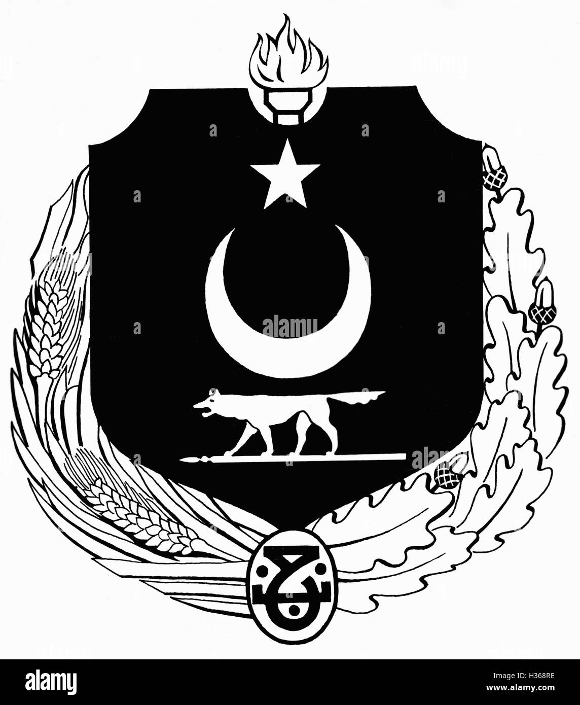 Design of a state emblem of Turkey, 1925 Stock Photo