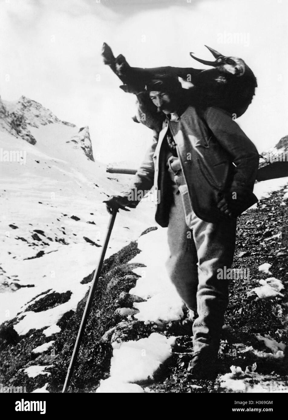 Hunter at chamois hunting, 1936 Stock Photo Alamy