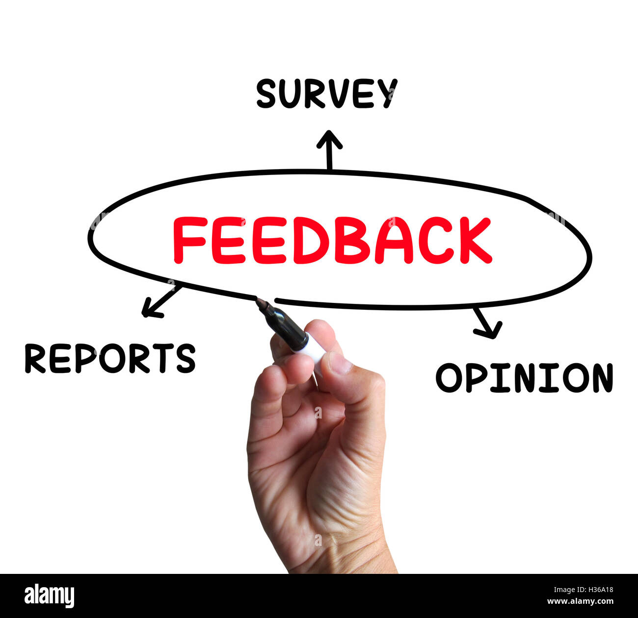 Feedback Diagram Means Reports Criticism And Evaluation Stock Photo