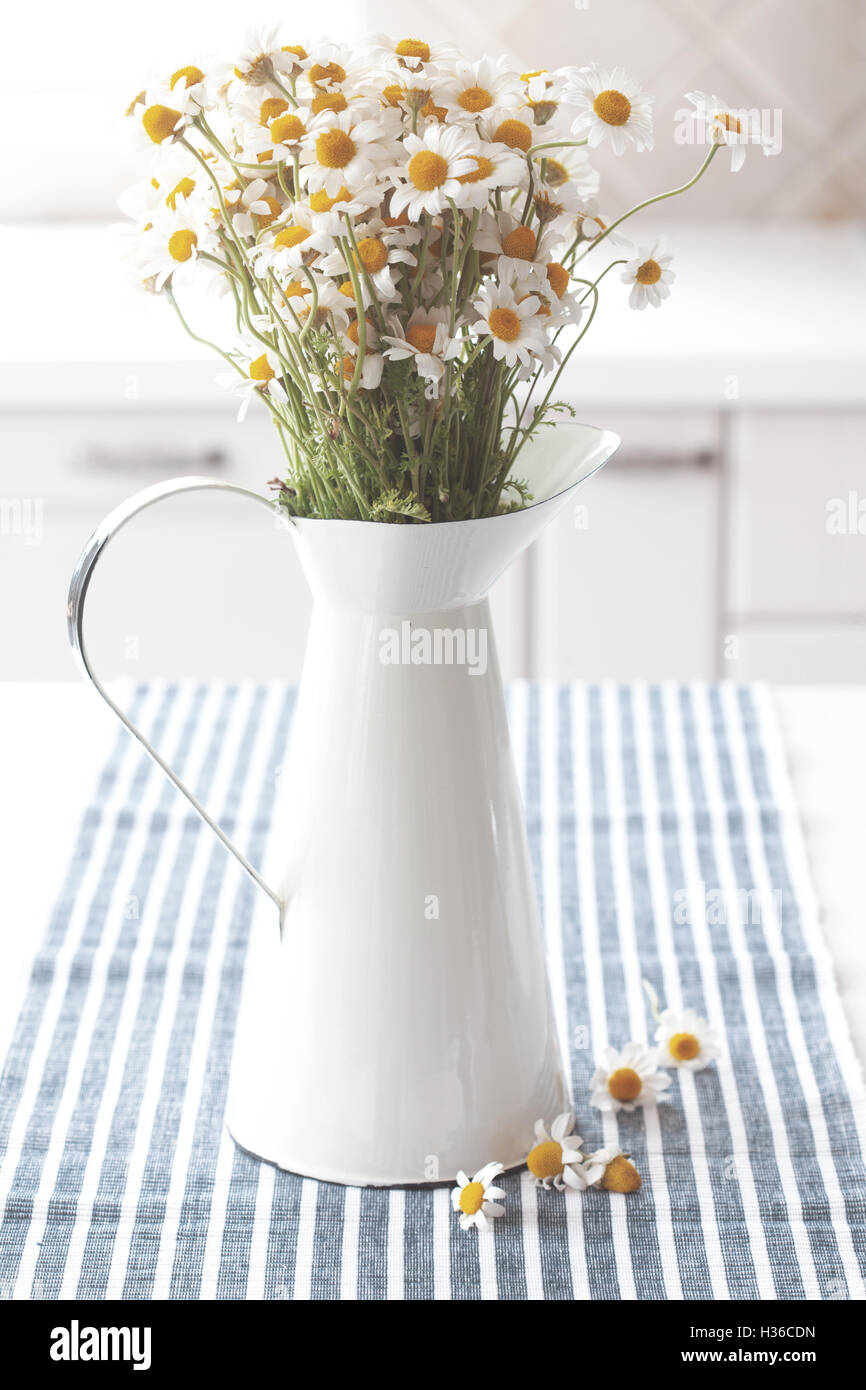 Chamomiles in pitcher Stock Photo