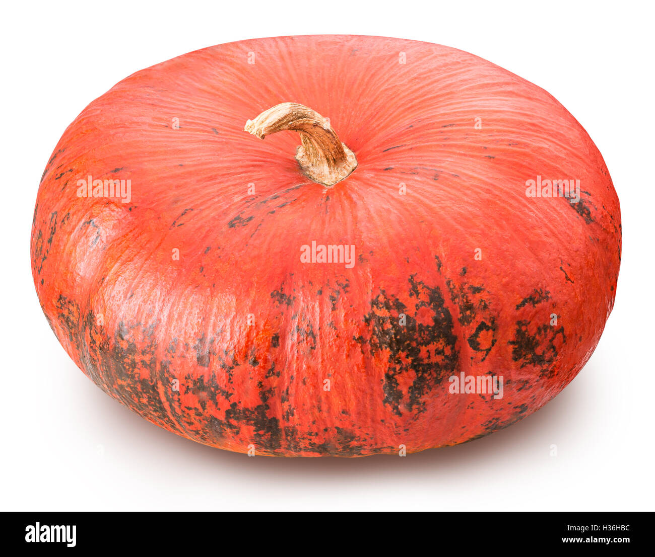 Pumpkin isolated on white background with clipping path Stock Photo - Alamy