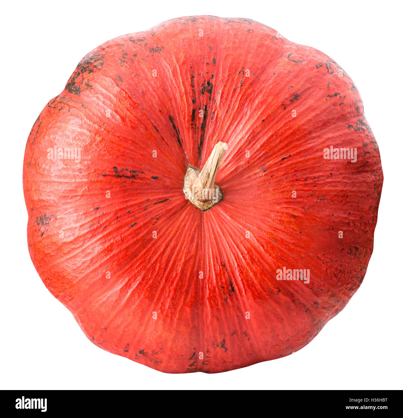 Pumpkin isolated on white background with clipping path Stock Photo - Alamy