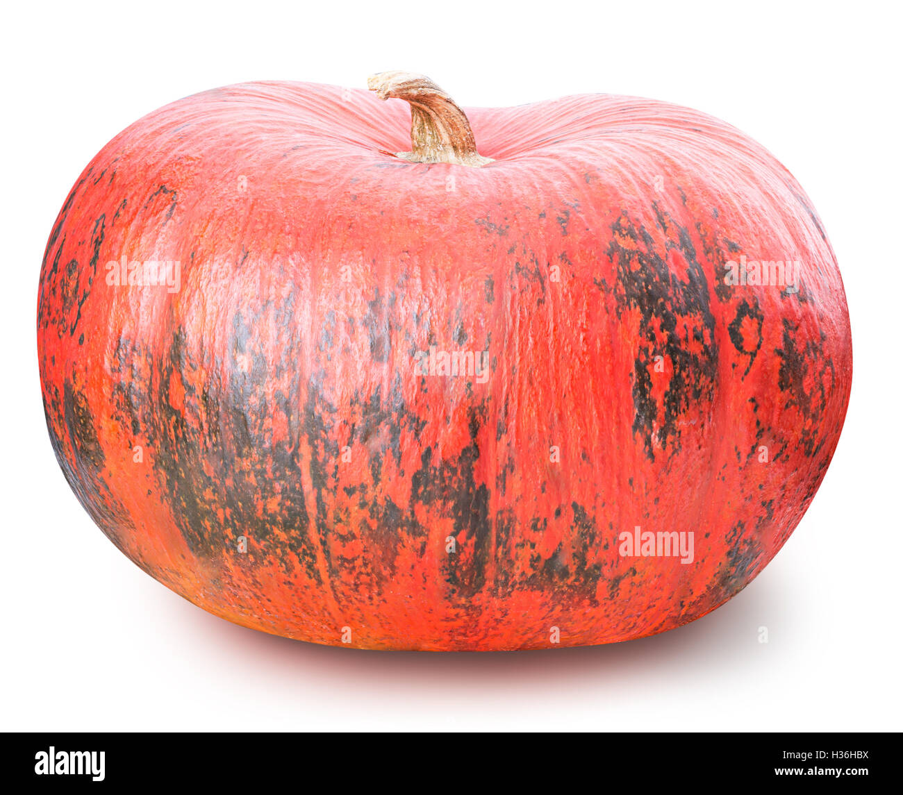 Pumpkin isolated on white background with clipping path Stock Photo - Alamy