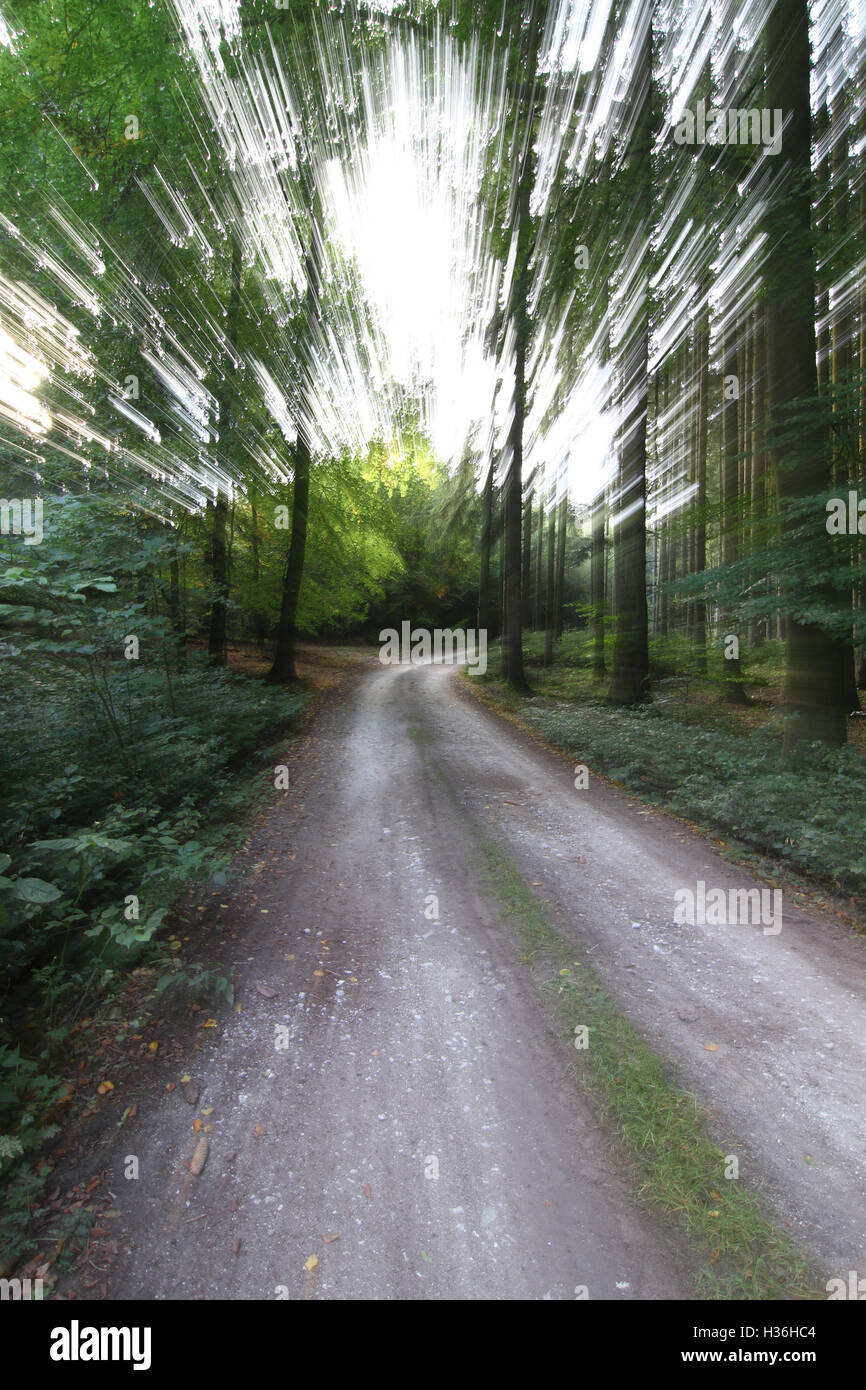 Abstract image - quickly on the forest road Stock Photo