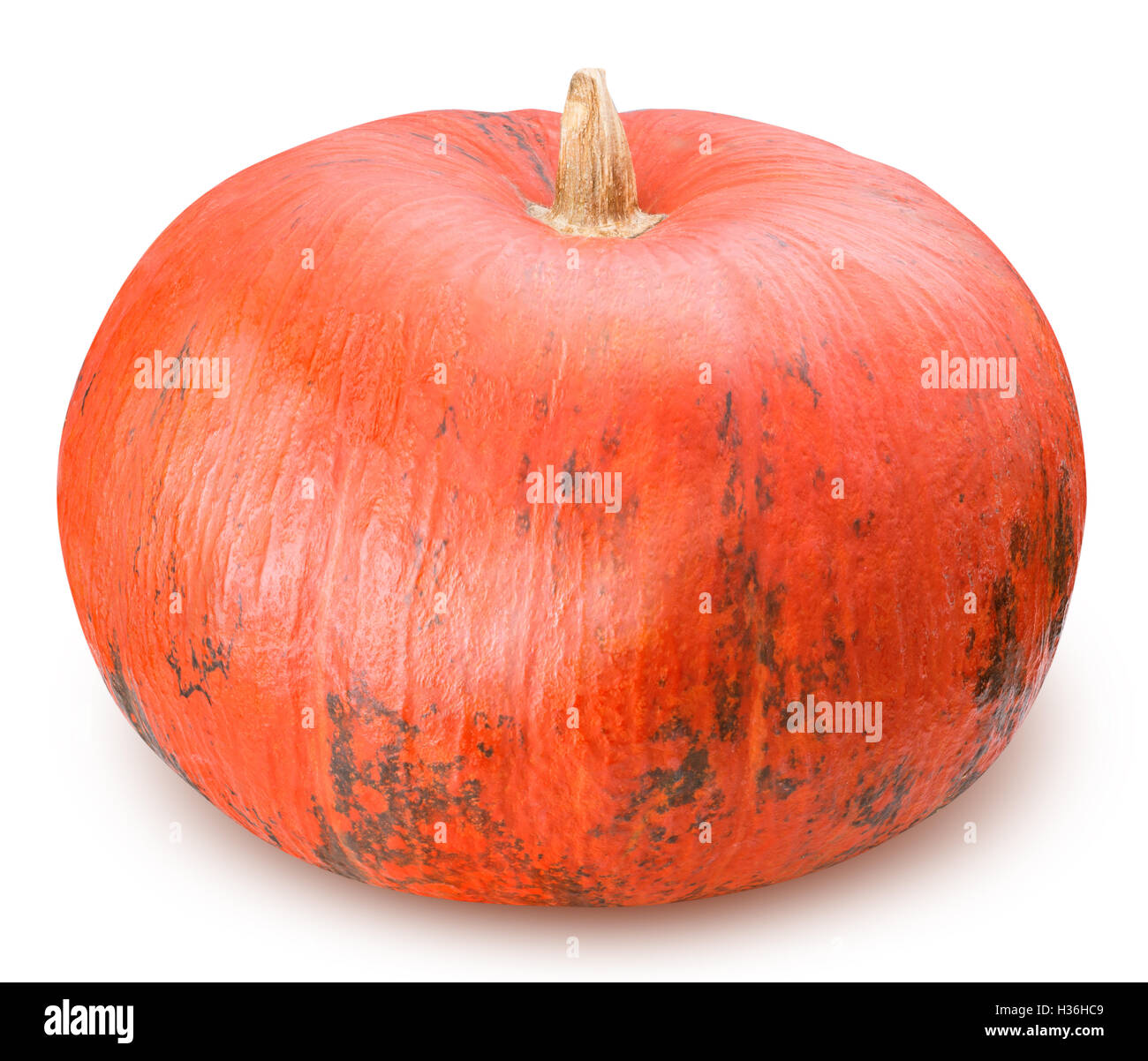 Pumpkin isolated on white background with clipping path Stock Photo - Alamy