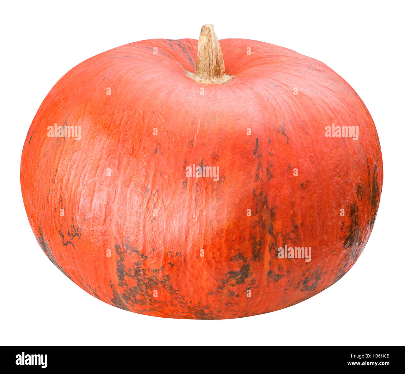 Pumpkin isolated on white background with clipping path Stock Photo - Alamy