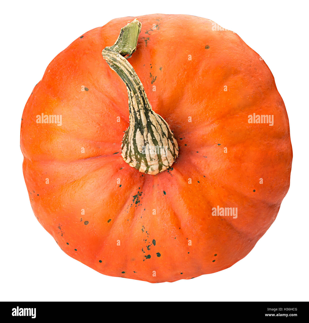 Pumpkin isolated on white background with clipping path Stock Photo - Alamy