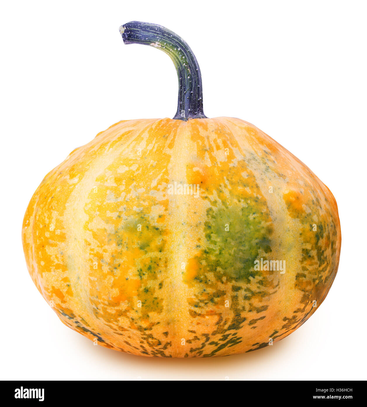 Pumpkin isolated on white background with clipping path Stock Photo - Alamy