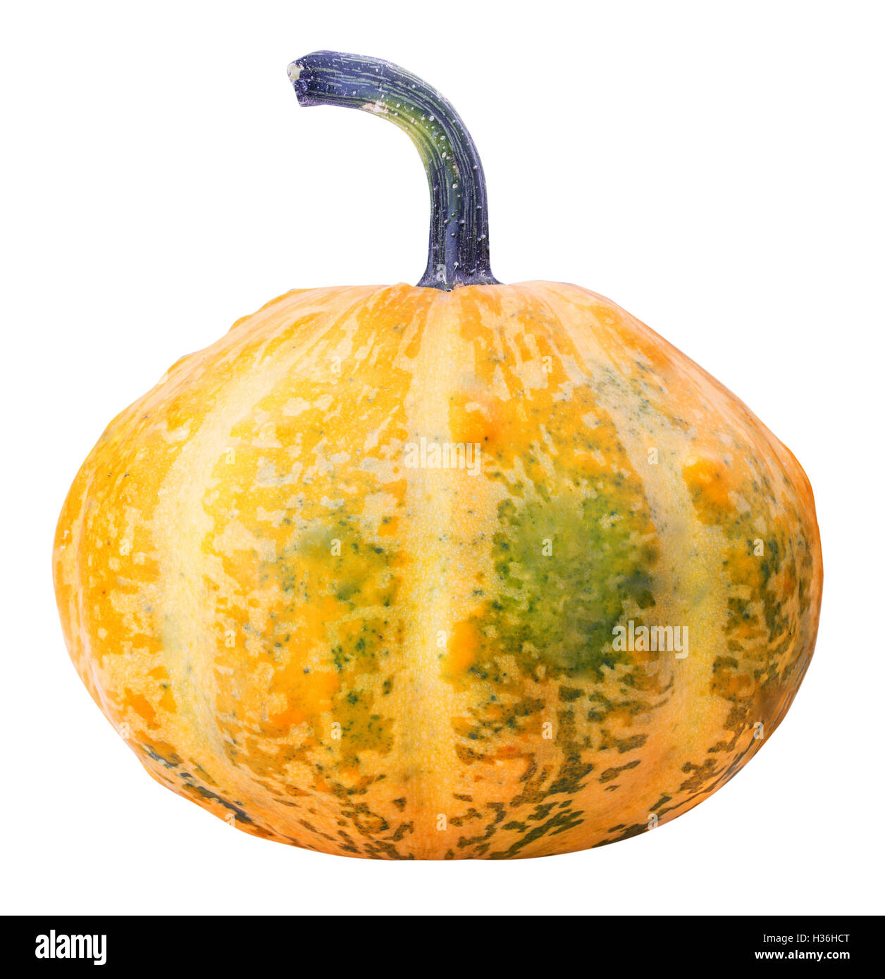 Pumpkin isolated on white background with clipping path Stock Photo - Alamy