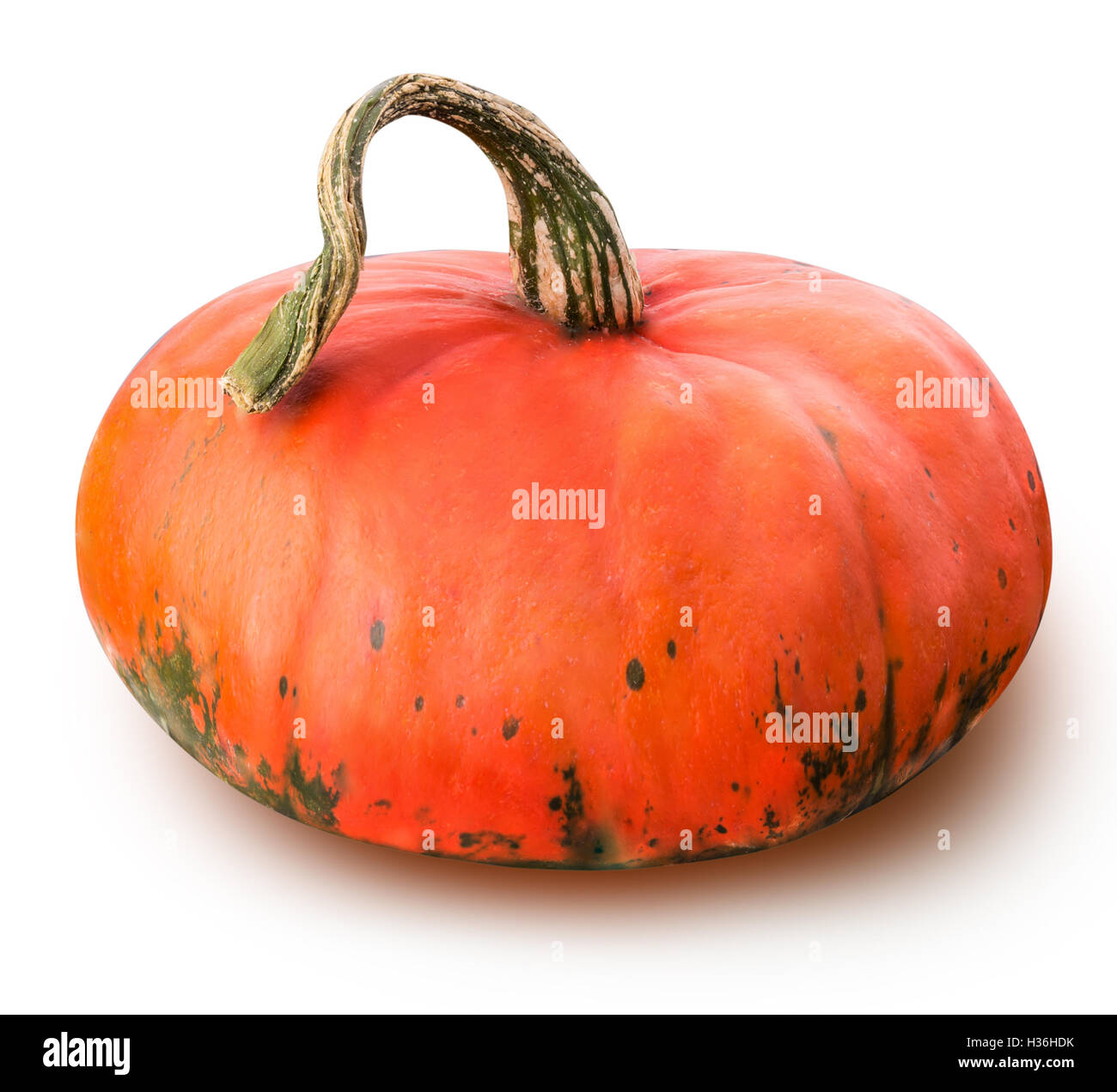 Pumpkin isolated on white background with clipping path Stock Photo - Alamy
