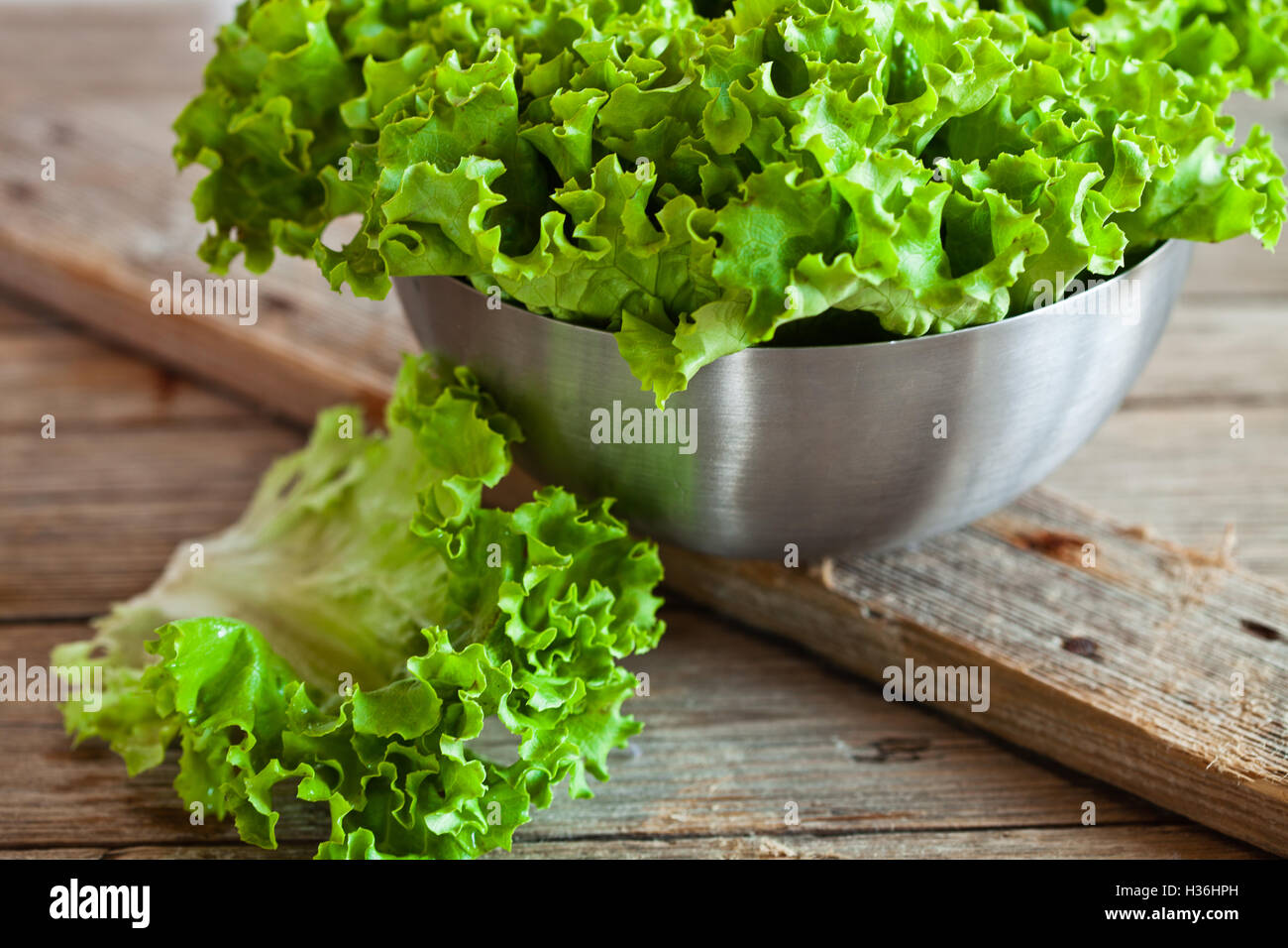 lettuce salad in metal bowl Stock Photo Alamy