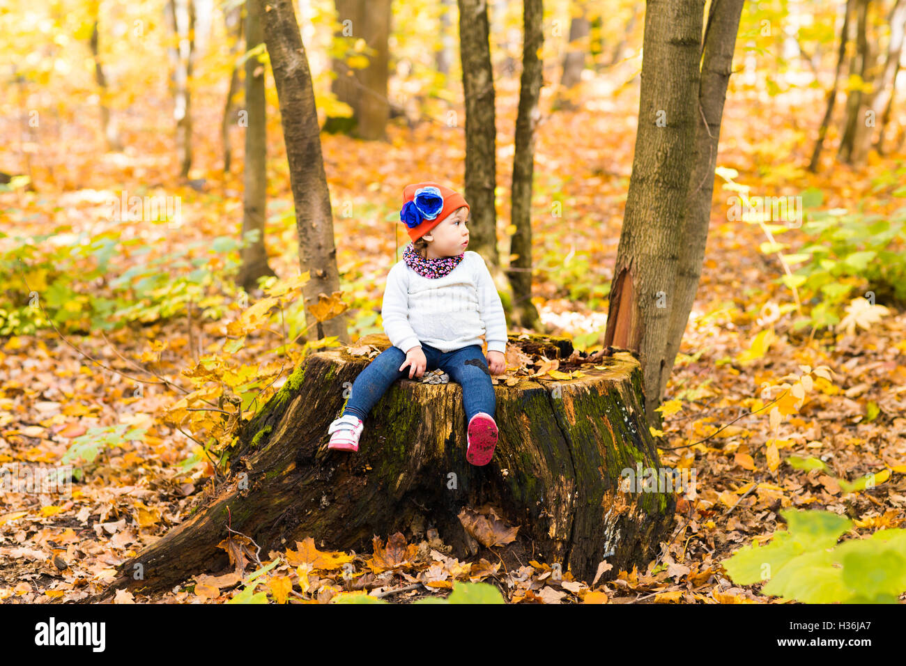 Little baby girl in the autumn park Stock Photo - Alamy