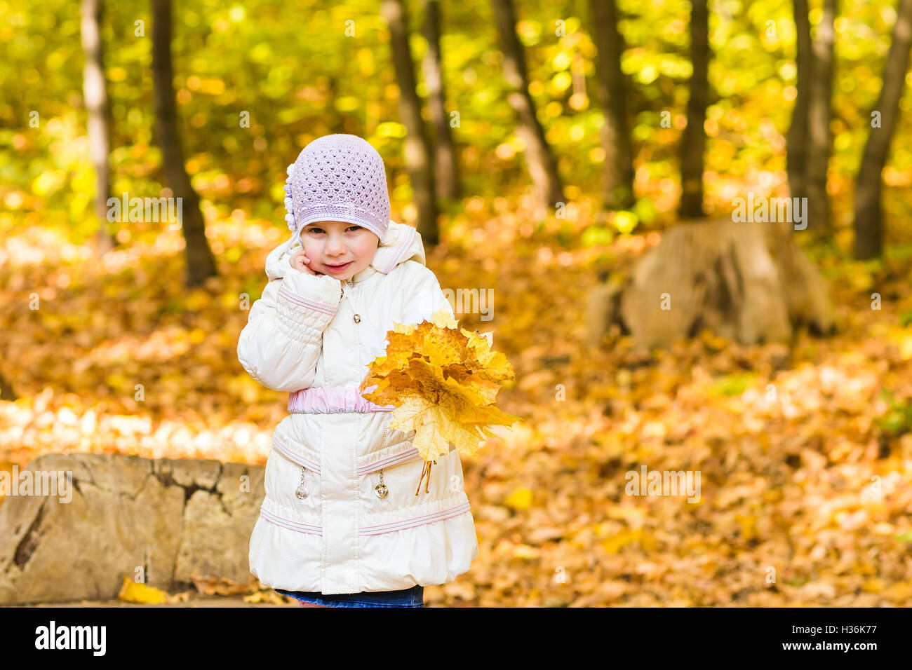 Little baby girl with autumn leaves in the park Stock Photo - Alamy