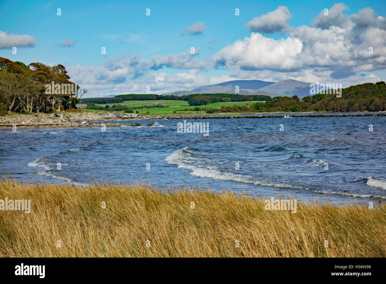 Wigtown galloway hires stock photography and images Alamy