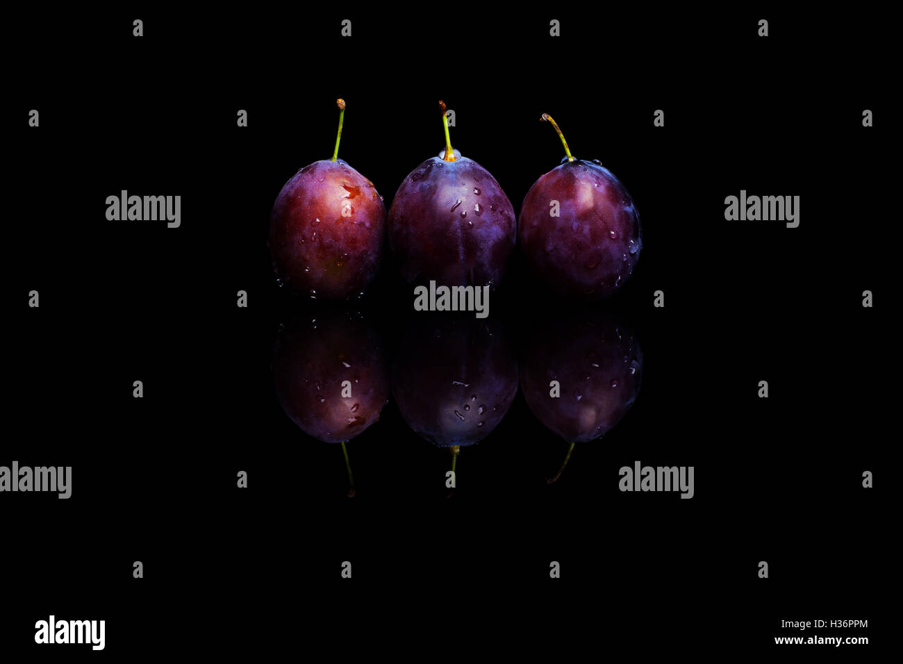 Three fresh blue plums on a black reflective background with water drops Stock Photo