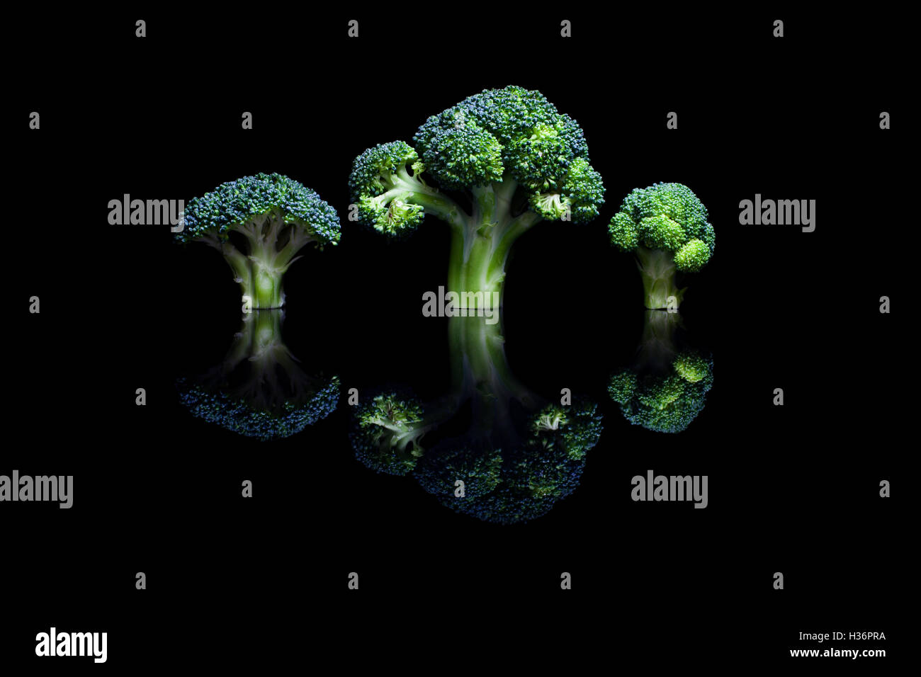 Three Broccoli Three broccoli on black reflective background Stock Photo - Alamy