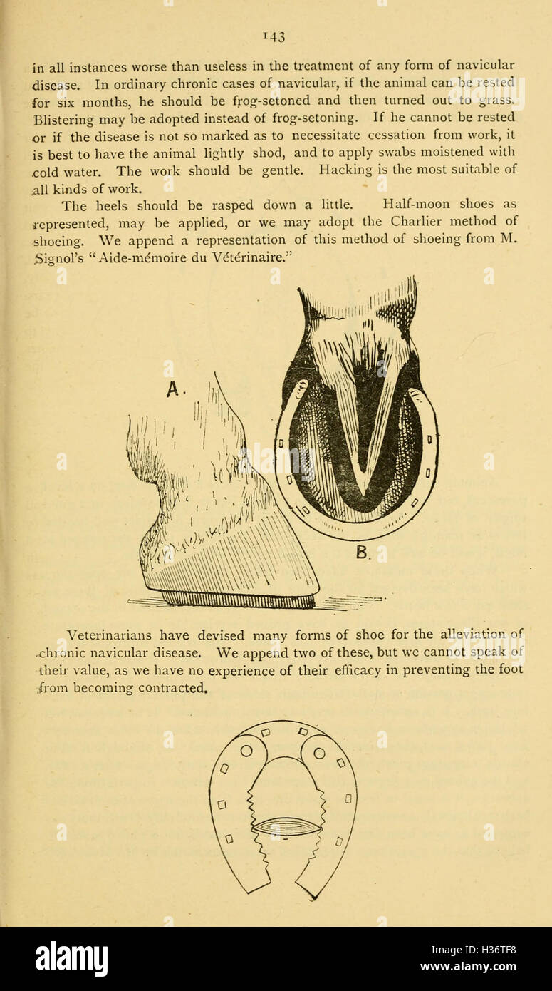 Diseases and disorders of the horse (Page 143) BHL236 Stock Photo