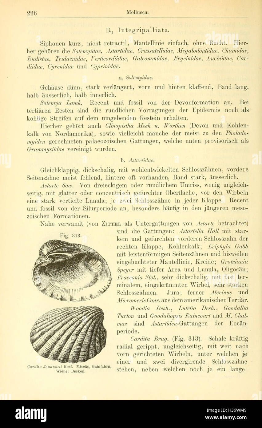 This text provides an overview of paleontology, discussing key concepts ...