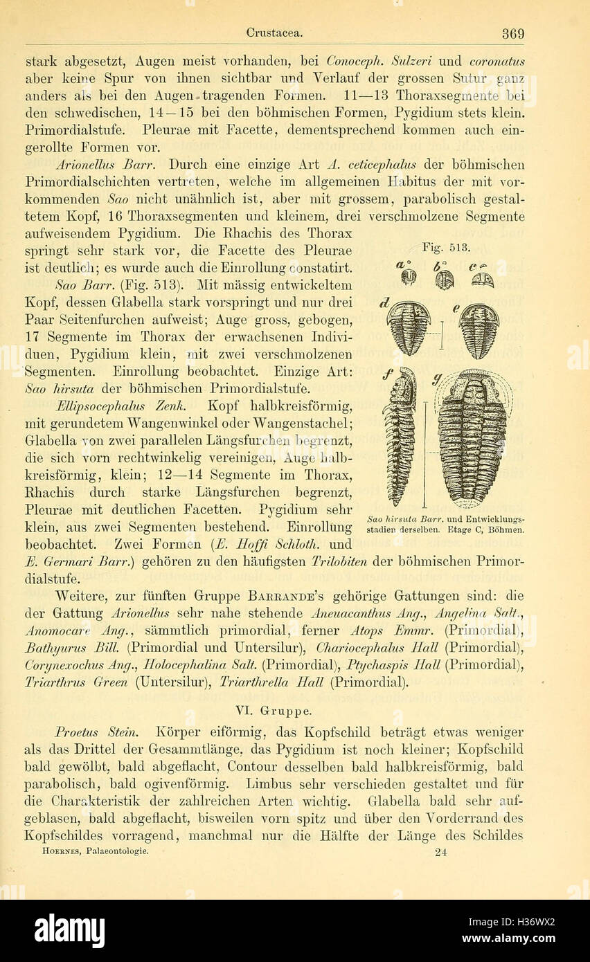 Elemente der palaeontologie (Page 369, Fig. 513) BHL148 Stock Photo