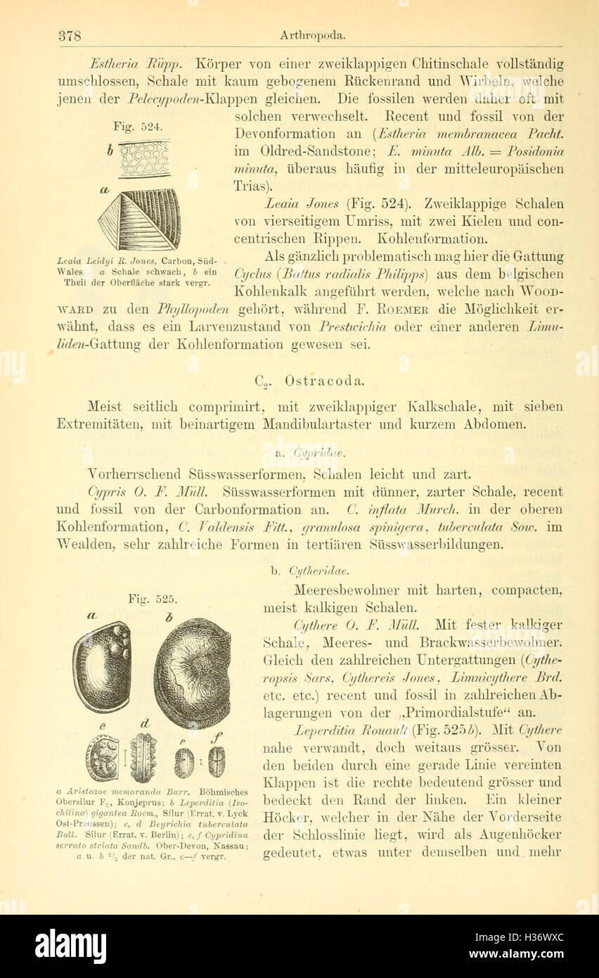 This German text provides elements of paleontology, including figures ...