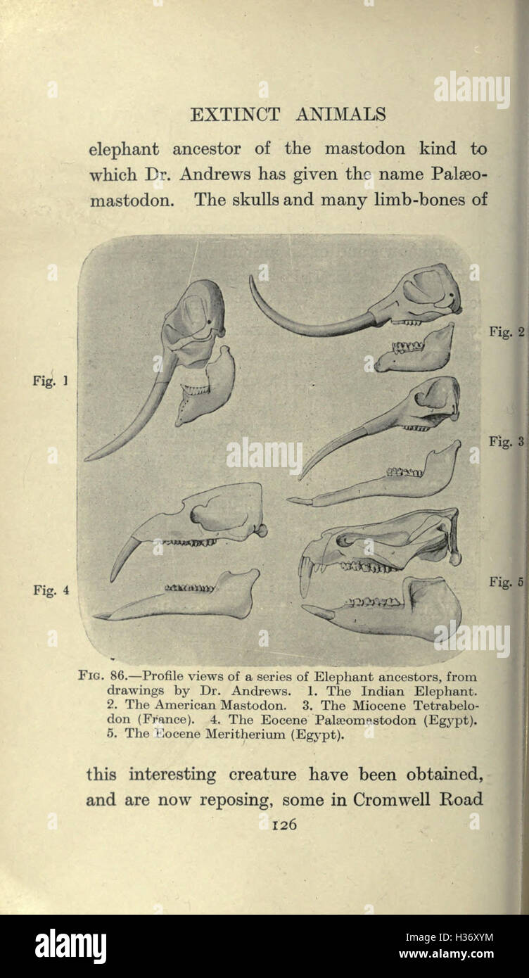 1973 ESTABLISHED GUIDELINES FOR CATEGORIZING AND PROTECTING WILDLIFE SPECIES visual data 5