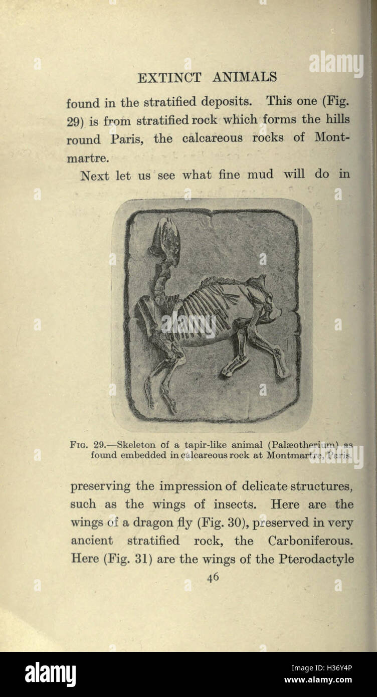 This page explores extinct animal species, focusing on their ...