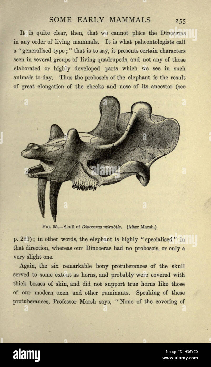 Extinct Cyolops This work delves into the history of extinct creatures, exploring the ...