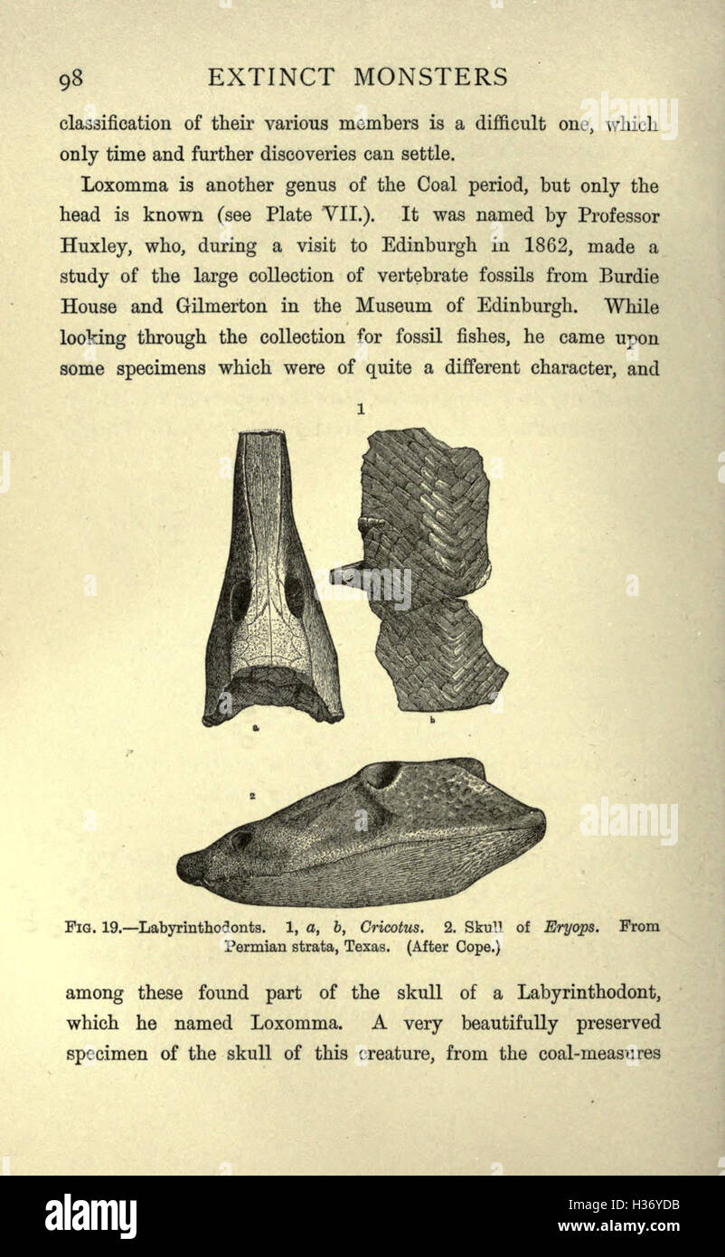 This work explores various extinct creatures from different geological ...