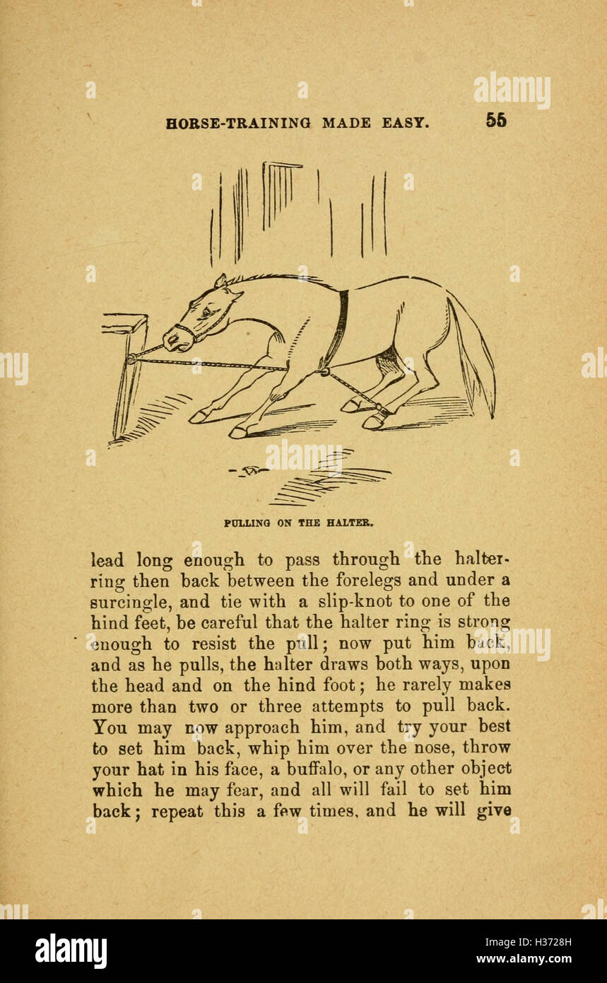 Gleason's horse training made easy ... Illustrated with forty-four ...