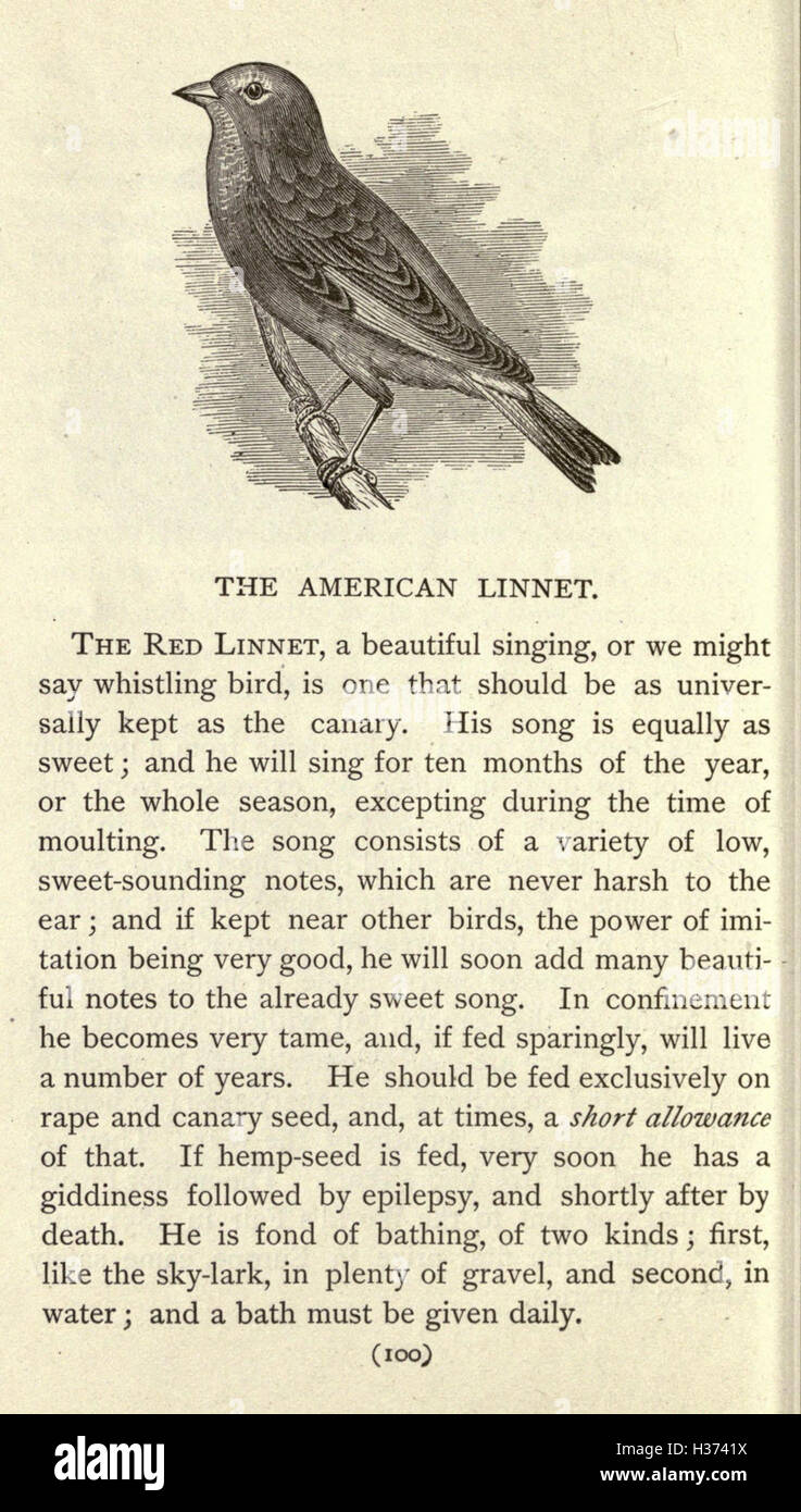 Holden’s book provides a comprehensive overview of bird species ...