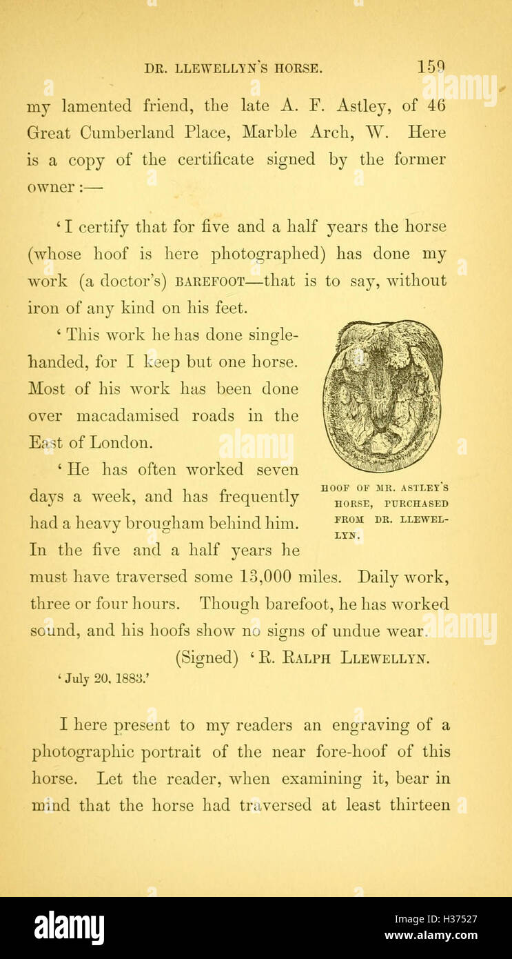 'Horse and Man' examines the long-standing relationship between horses ...