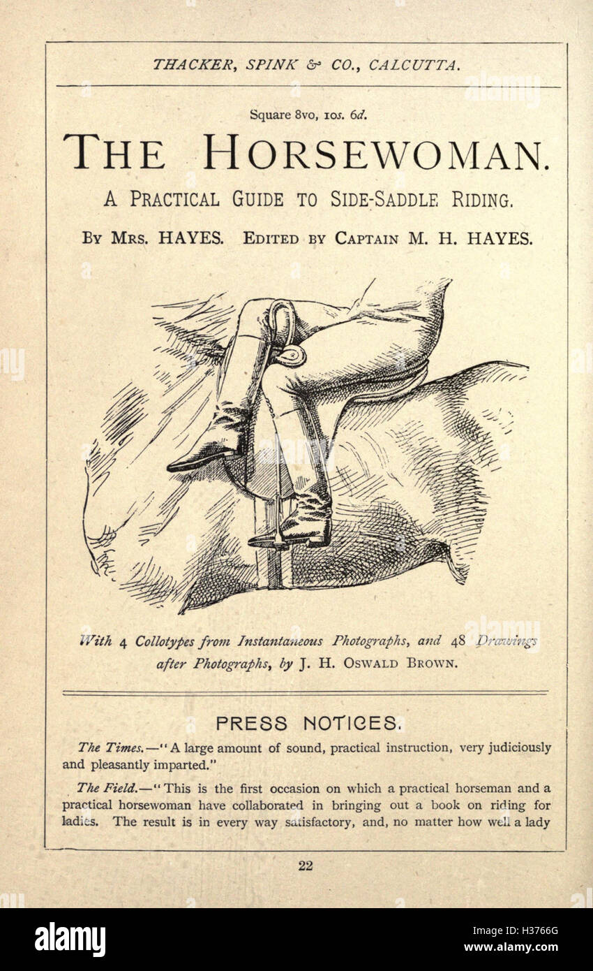 Illustrated horse breaking BHL184 Stock Photo Alamy