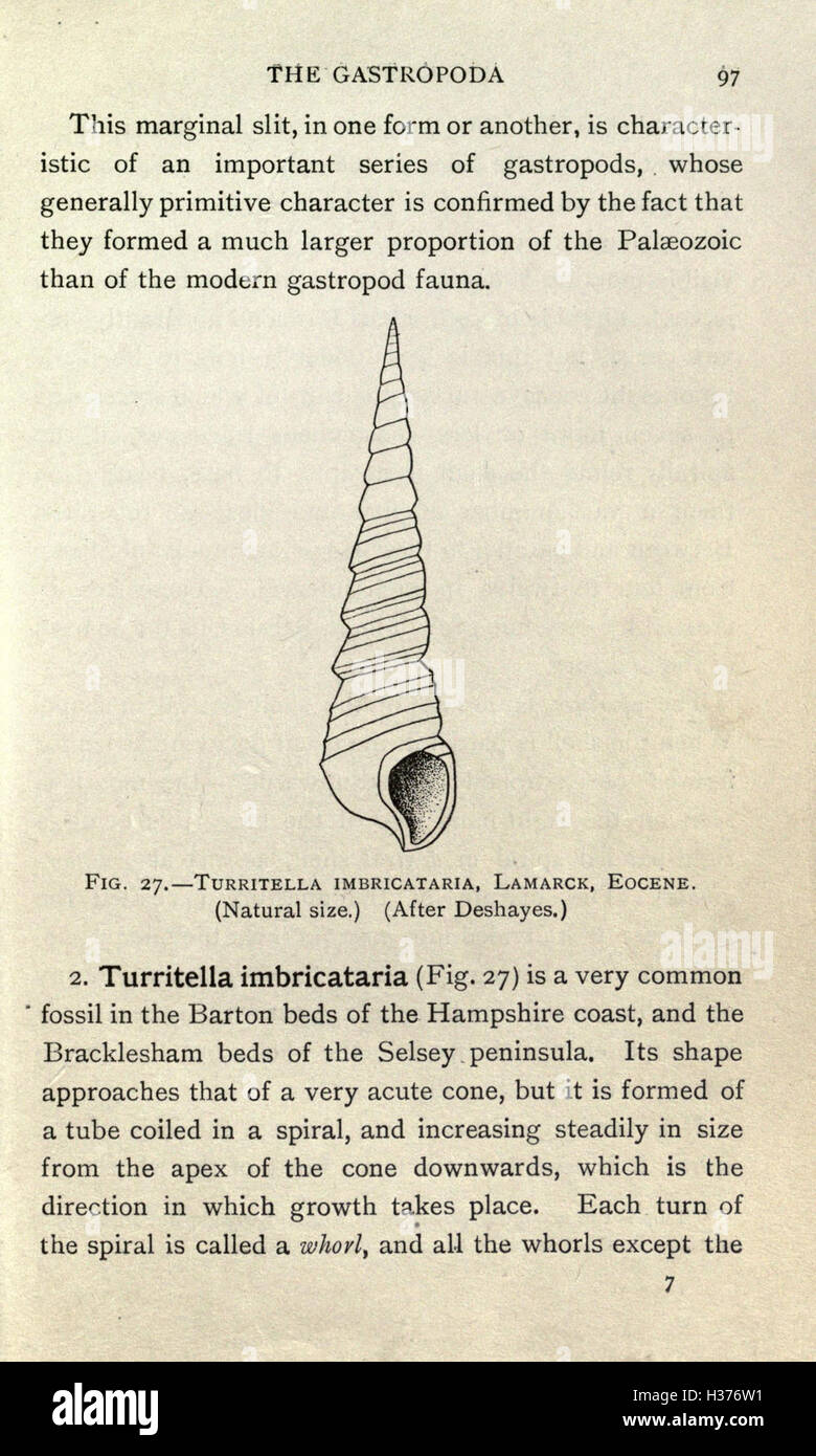An introductory text to paleontology, designed for beginners in the ...