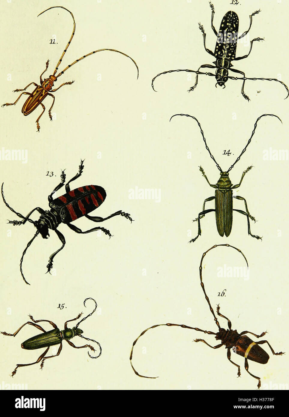 Hard sciences hi-res stock photography and images - Alamy