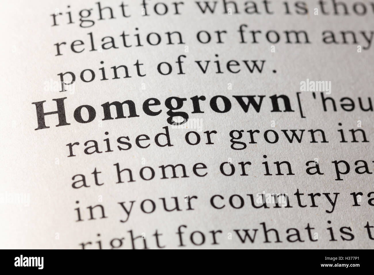 Fake Dictionary, Dictionary definition of the word homegrown. Stock Photo