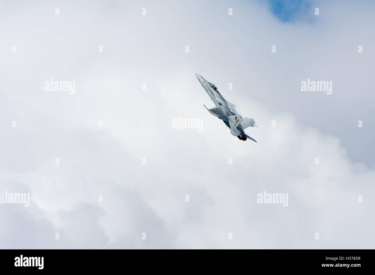 McDonnell Douglas F/A-18 Hornet twin-engine supersonic all-weather carrier-capable multirole combat jet Stock Photo