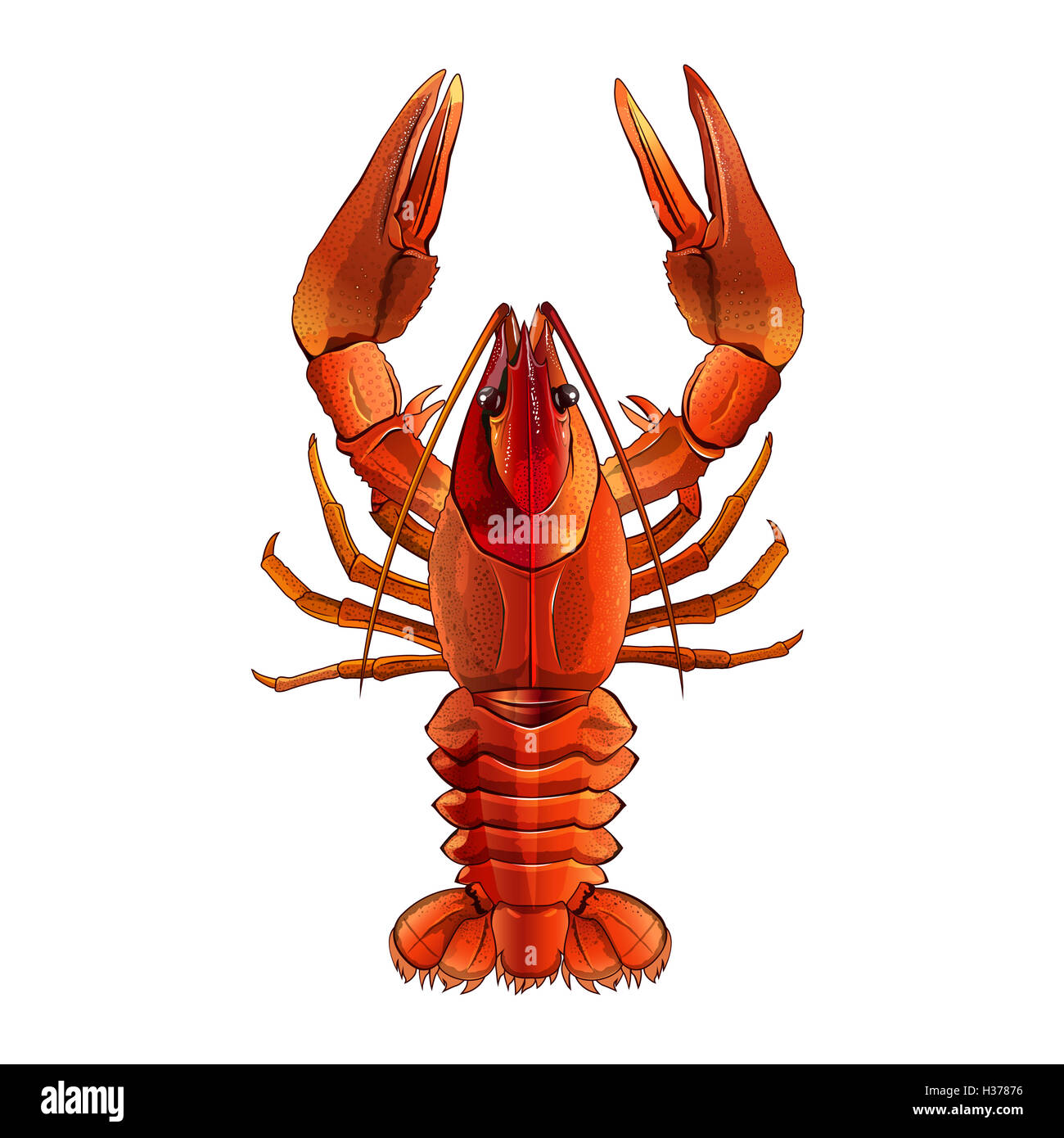 Lobster fishing Cut Out Stock Images & Pictures Alamy