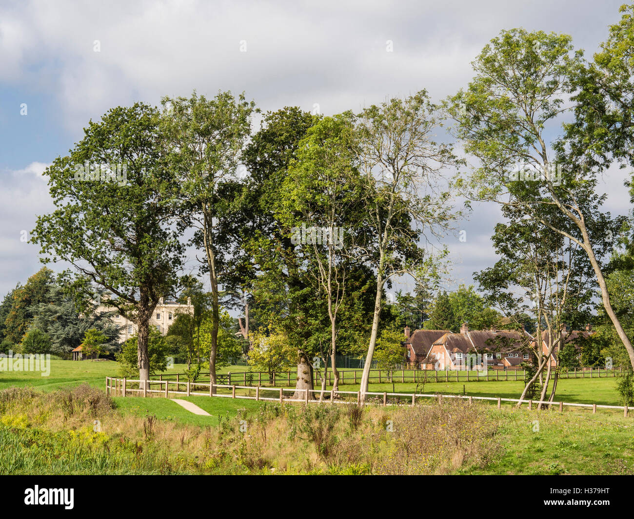 Burton Park Estate, Duncton, Petworth, West Sussex, UK Stock Photo Alamy