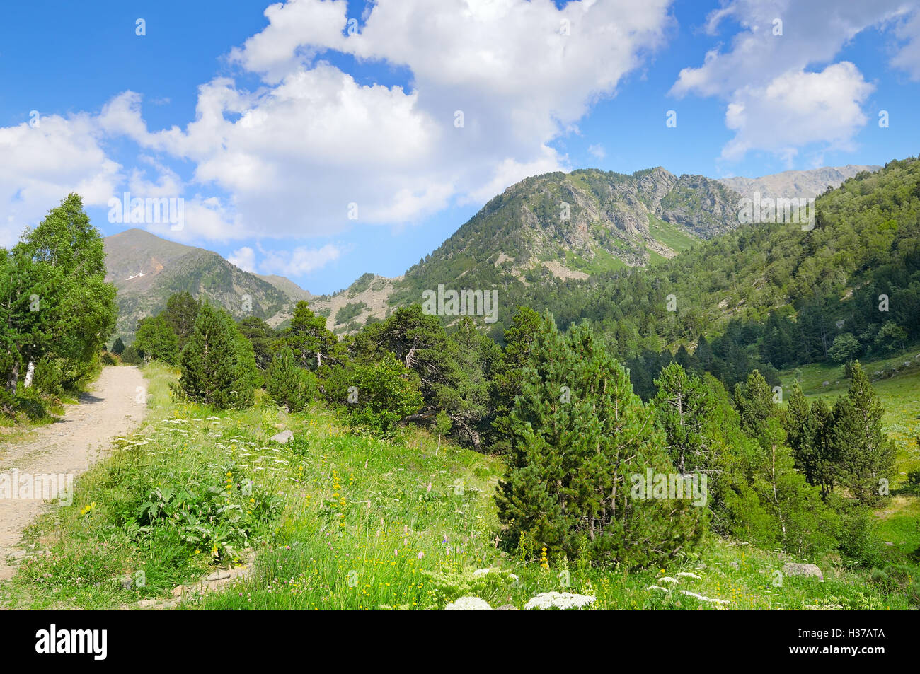 scenic mountains, meadows and blue sky Stock Photo - Alamy