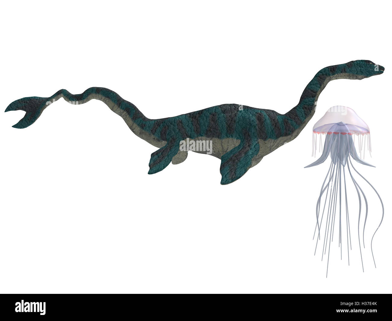 Sea Serpent and Jellyfish Stock Photo