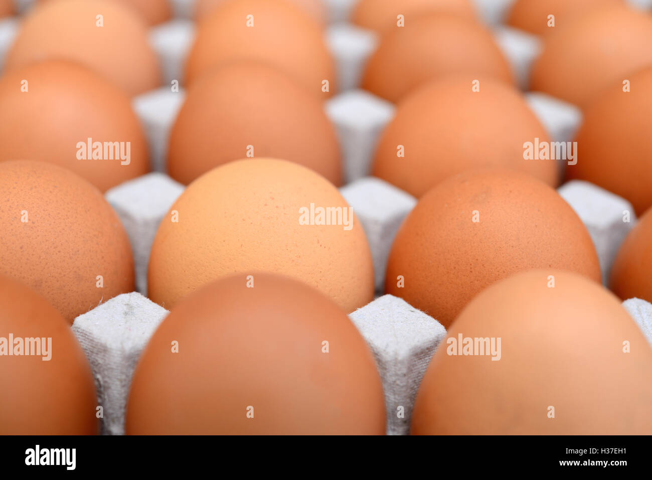 Eggs in a carton Stock Photo Alamy