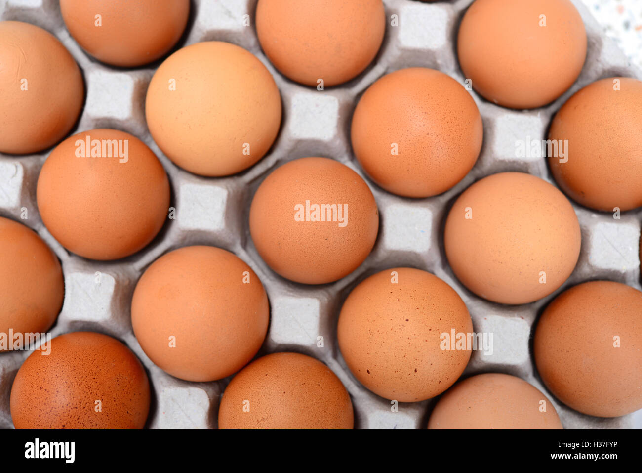 Eggs in a carton Stock Photo Alamy